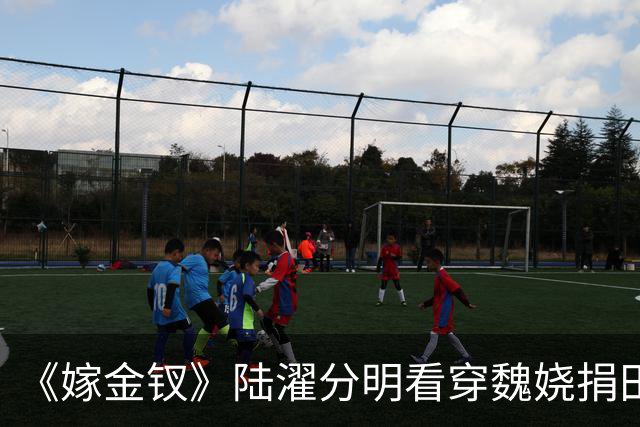 《嫁金钗》陆濯分明看穿魏娆捐田散财是在留后路，为什么还救她？