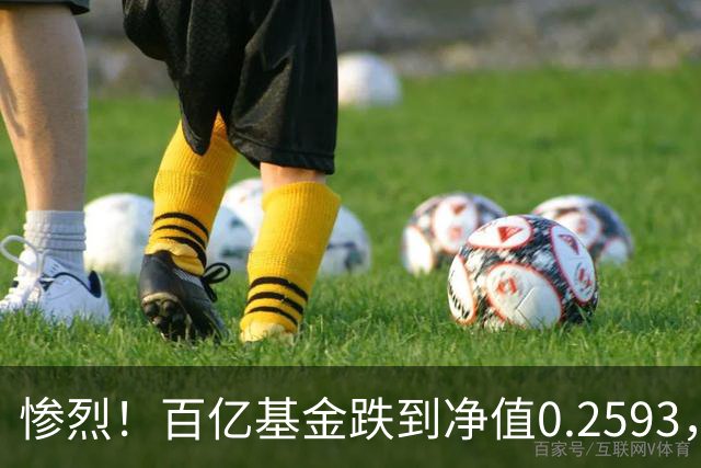 惨烈！百亿基金跌到净值0.2593，暴跌74%！无数基民不敢打开账户